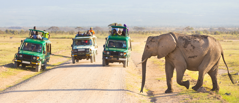 Classic Kenya Classic Kenya